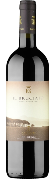 Il Bruciato Bolgheri doc